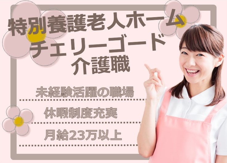 特別養護老人ホームでの介護職