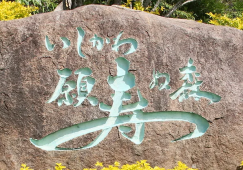 介護老人保健施設いしかわ願寿ぬ森(老健)｜【准看護師】賞与計4ヶ月分支給｜各種手当充実 イメージ